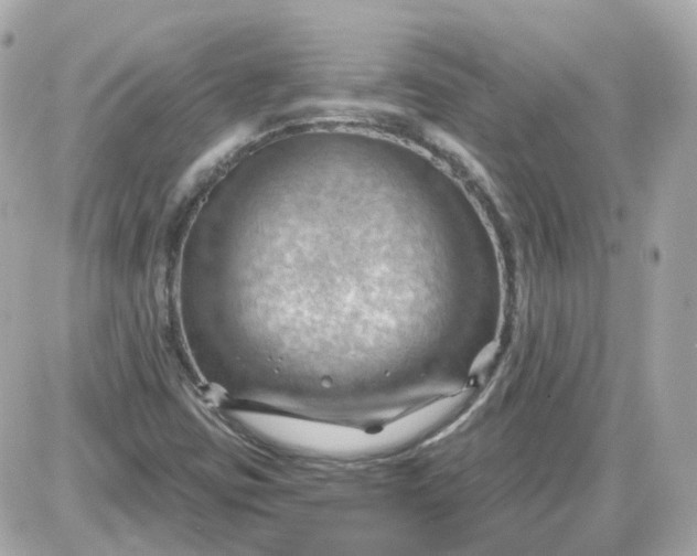 X0000087591403200705112251