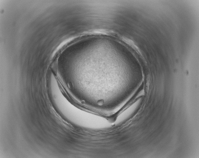 X0000087591404200705112251