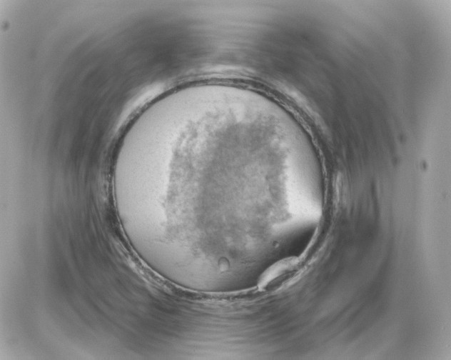 X0000087591405200705112251