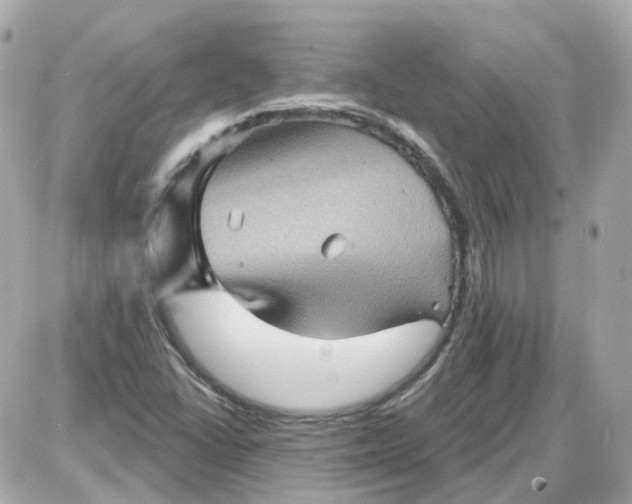 X0000087591406200705112251