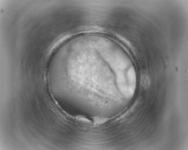 X0000087591407200705112251