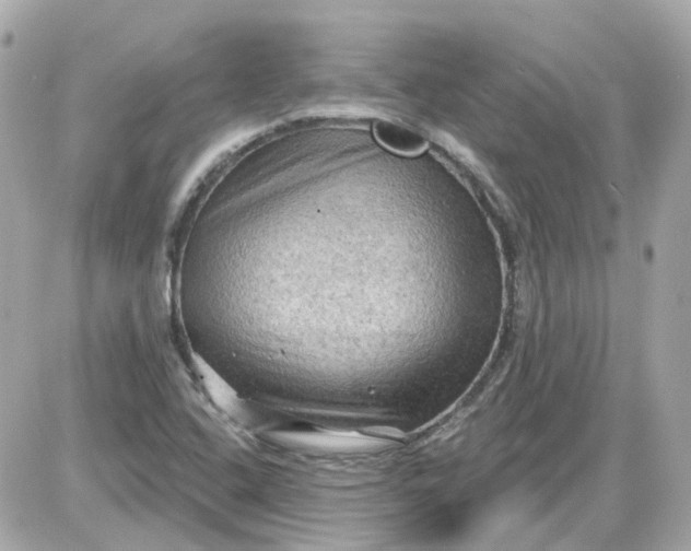 X0000087591408200705112251