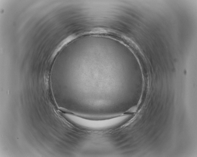 X0000087591409200705112251