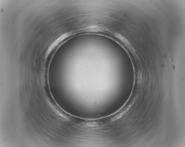 X0000087591410200705112251