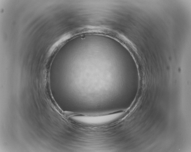 X0000087591411200705112252