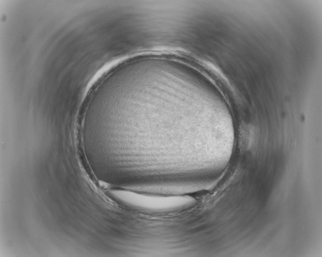 X0000087591412200705112252