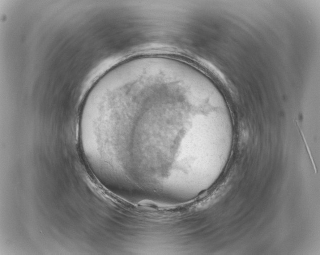 X0000087591413200705112252