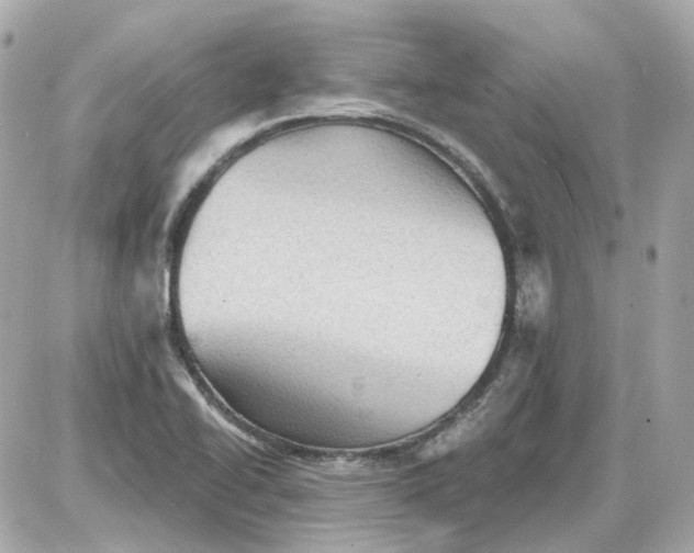 X0000087591414200705112252