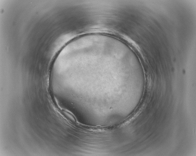 X0000087591415200705112252