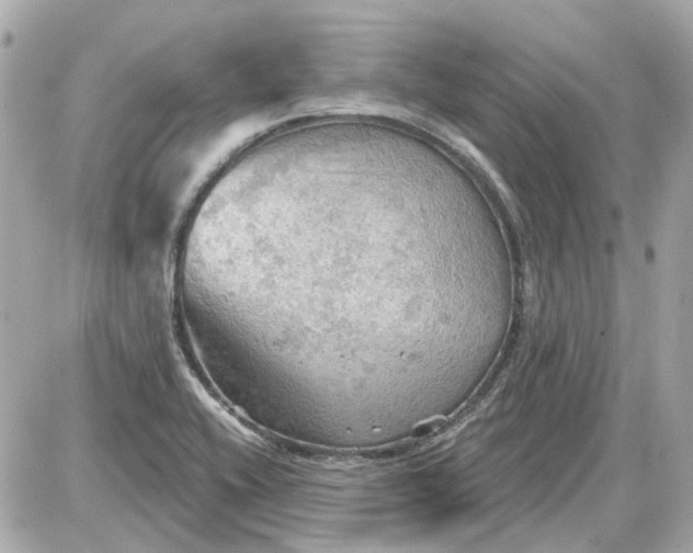 X0000087591416200705112252