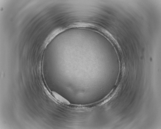 X0000087591417200705112252