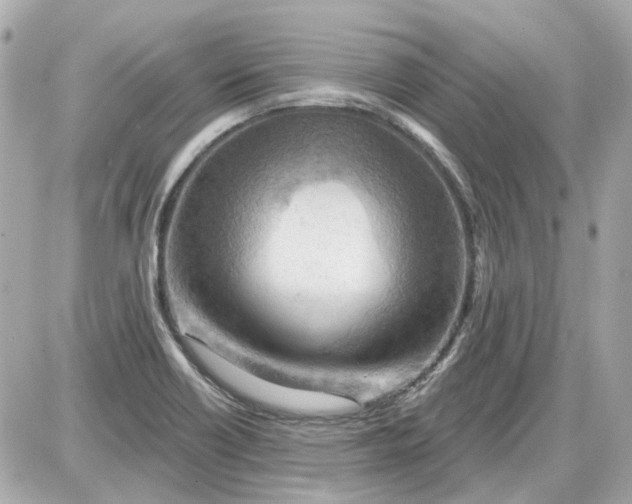 X0000087591418200705112252