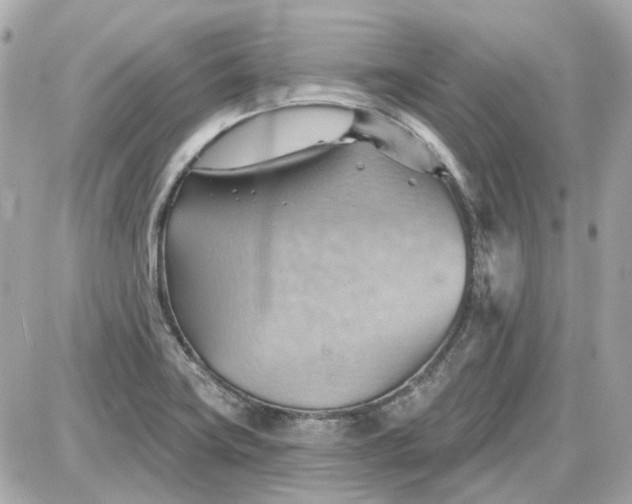 X0000087591419200705112252