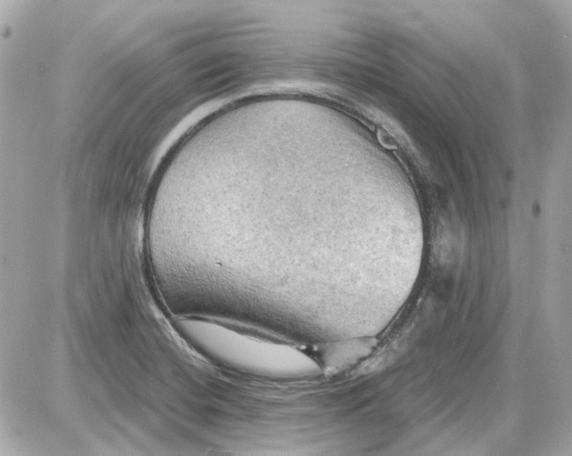 X0000087591420200705112252