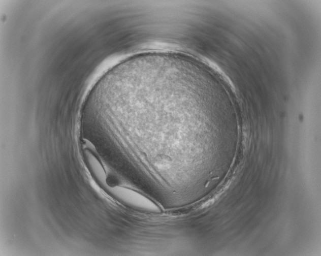 X0000087591421200705112252