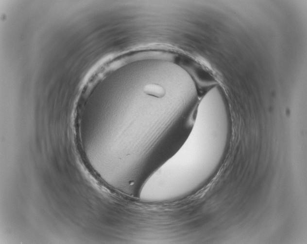 X0000087591422200705112252