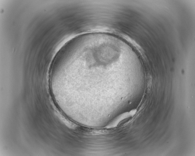 X0000087591423200705112252