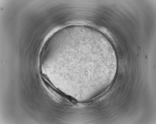 X0000087591424200705112252