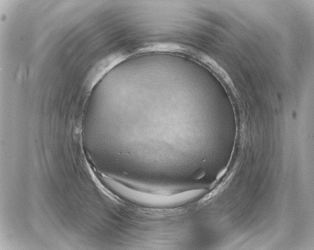 X0000087591425200705112252