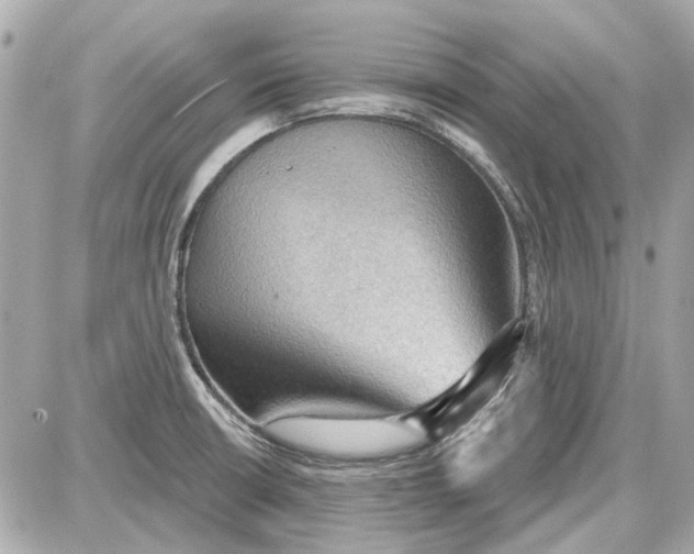 X0000087591426200705112252