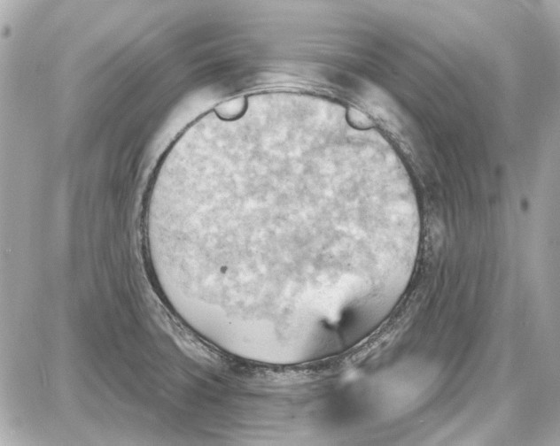 X0000087591427200705112252