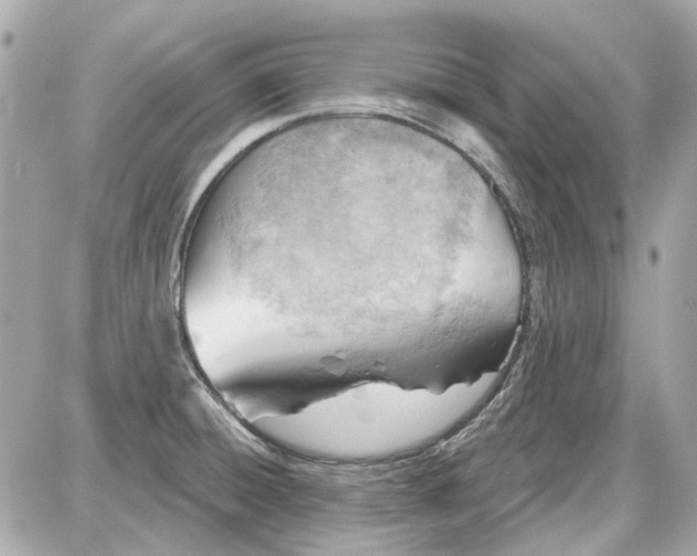 X0000087591428200705112252