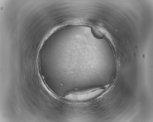 X0000087591429200705112252