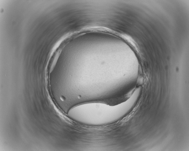 X0000087591430200705112252