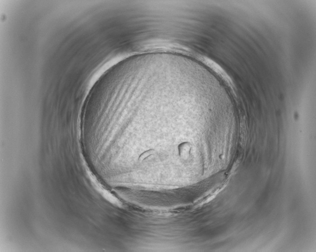 X0000087591431200705112252