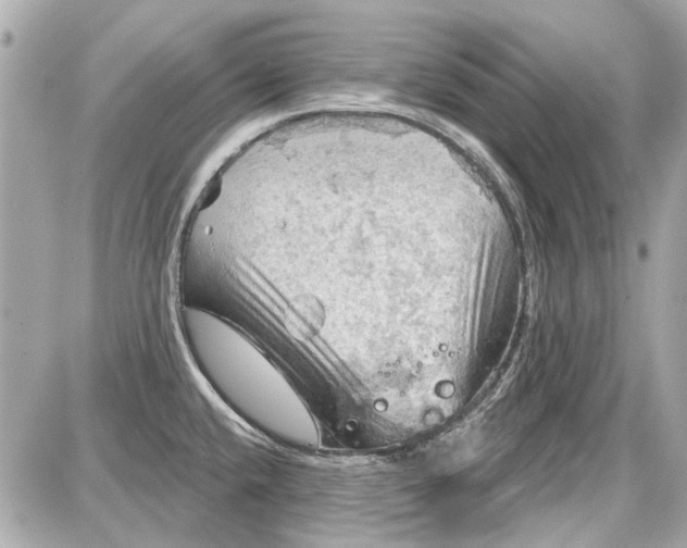 X0000087591432200705112252