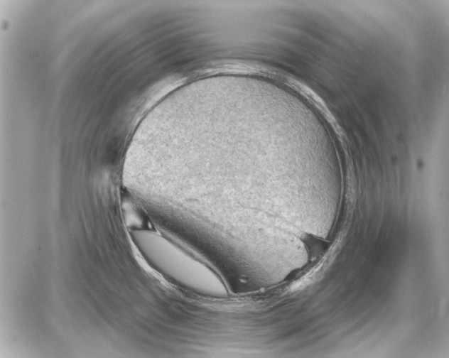 X0000087591433200705112252