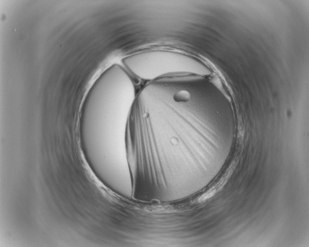 X0000087591434200705112252