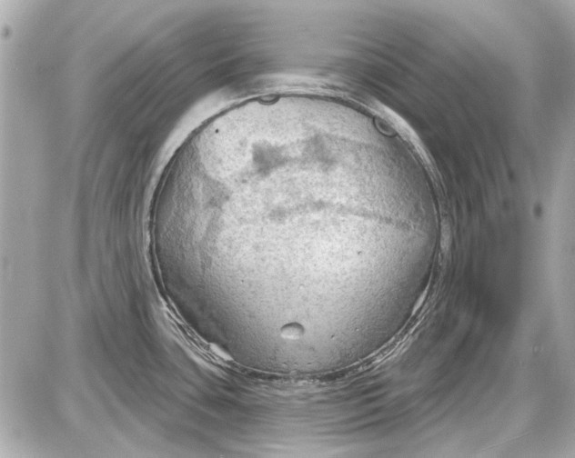 X0000087591435200705112252