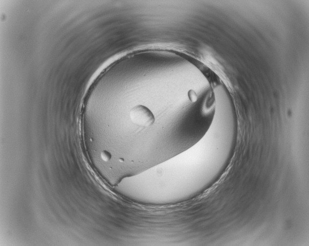 X0000087591436200705112252