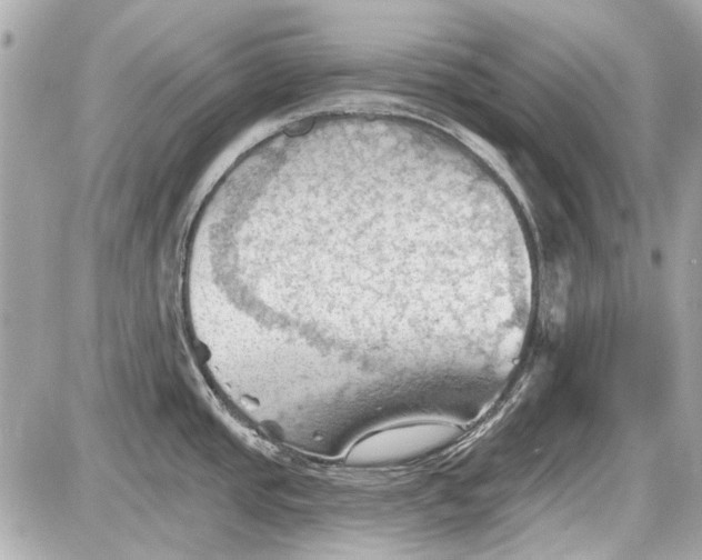 X0000087591437200705112252