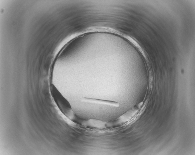 X0000087591438200705112252