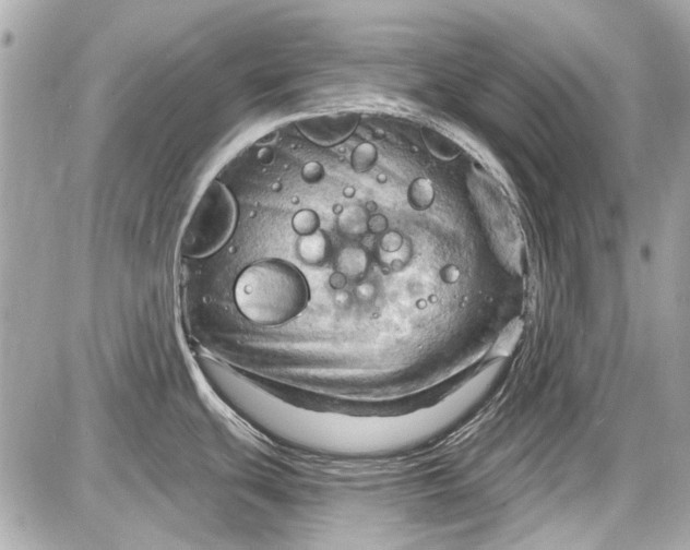 X0000087591439200705112252