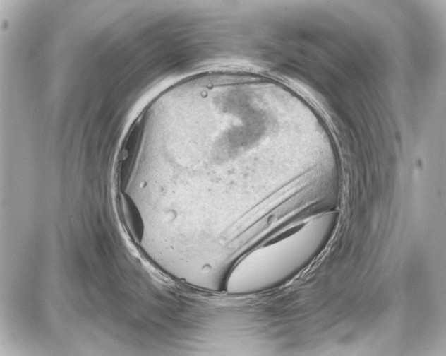 X0000087591440200705112252