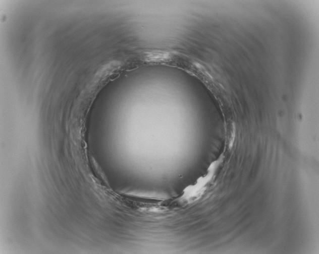 X0000087591441200705112251