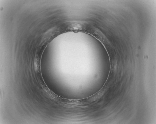 X0000087591442200705112251