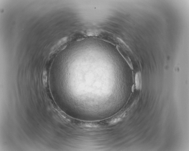 X0000087591443200705112251