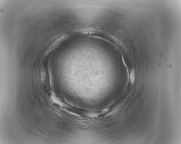 X0000087591444200705112251