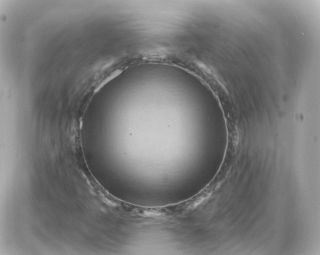 X0000087591445200705112251