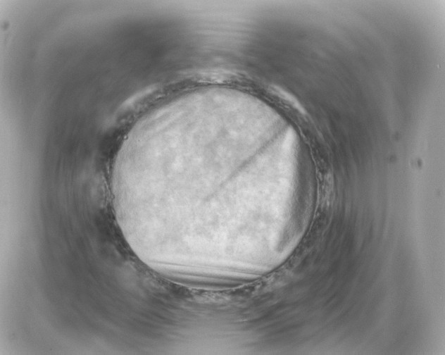 X0000087591446200705112251