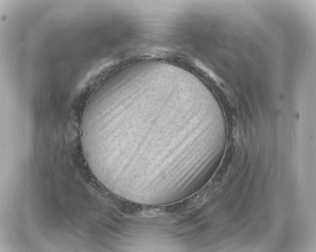 X0000087591447200705112251