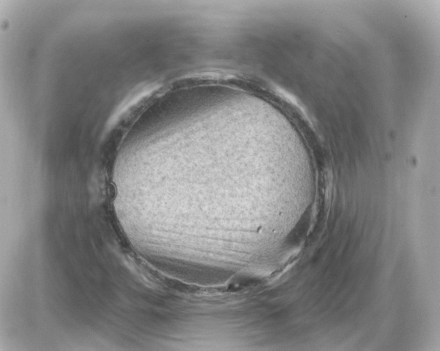 X0000087591448200705112251