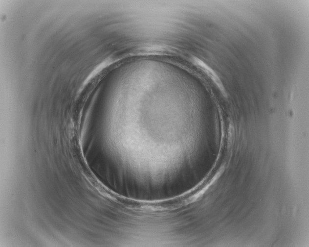 X0000087591449200705112251