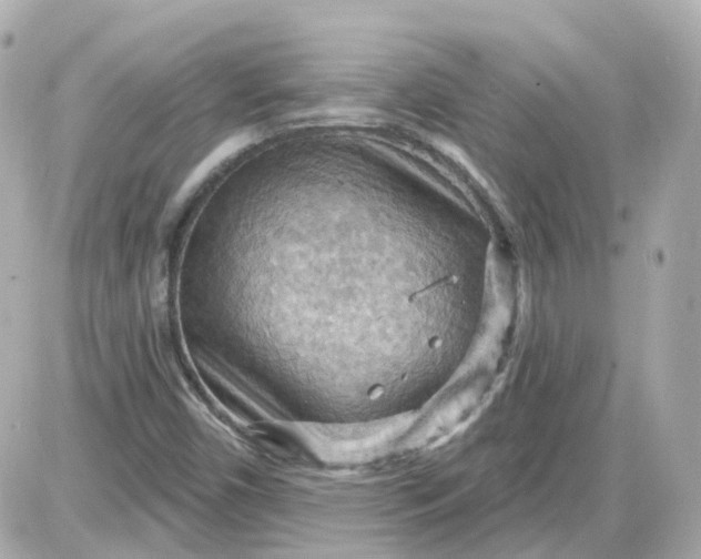 X0000087591450200705112251