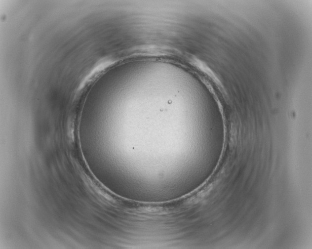 X0000087591451200705112251