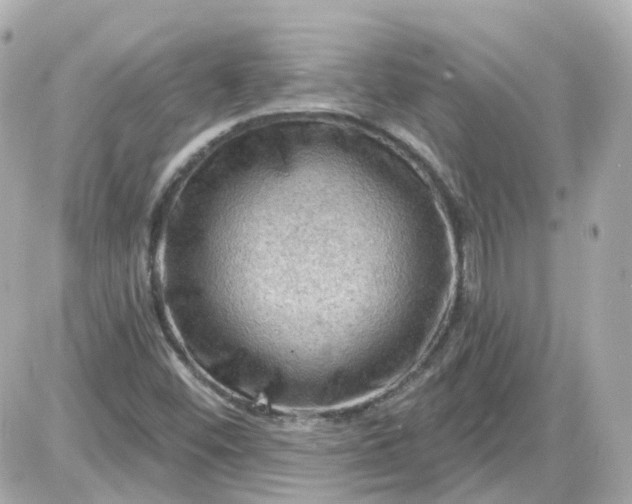 X0000087591452200705112251